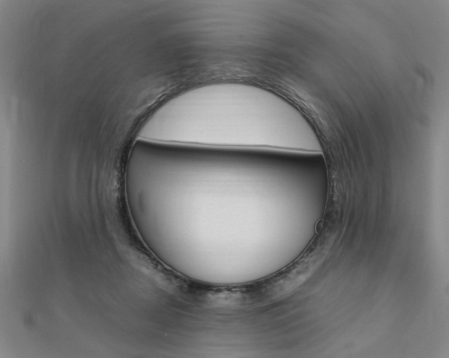 X0000112050362200908040955