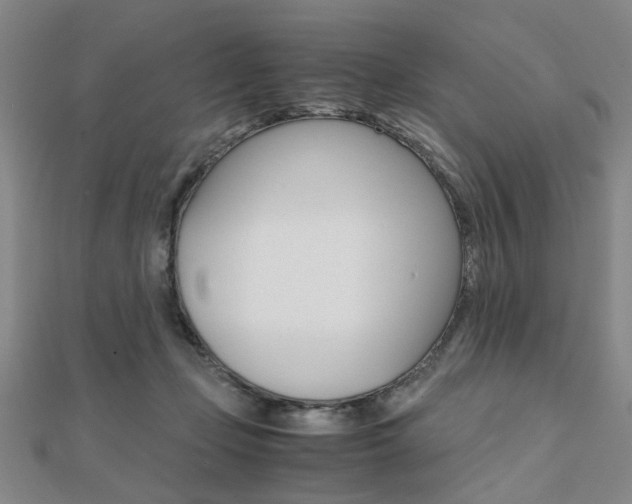 X0000112050365200908040955