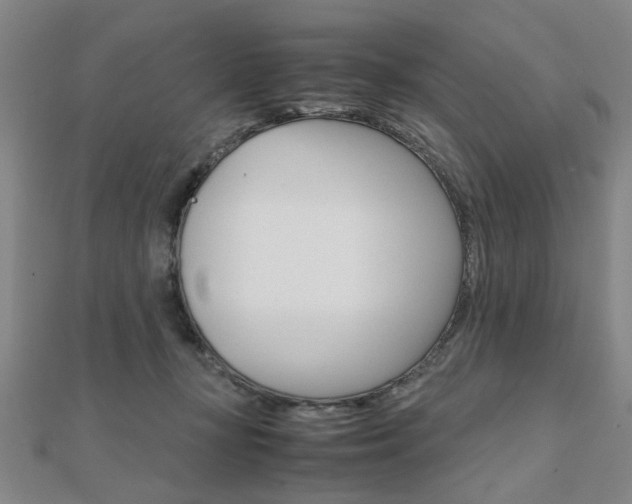 X0000112050367200908040955