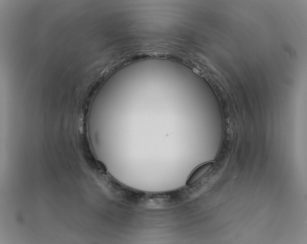 X0000112050368200908040955
