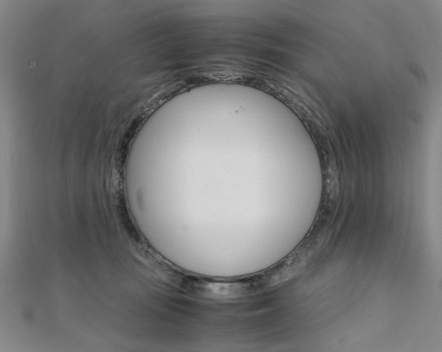 X0000112050371200908040955