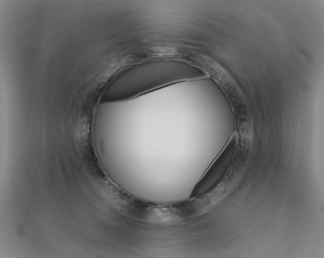 X0000112050372200908040955