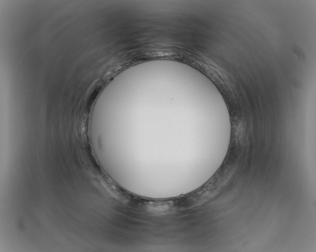 X0000112050373200908040955