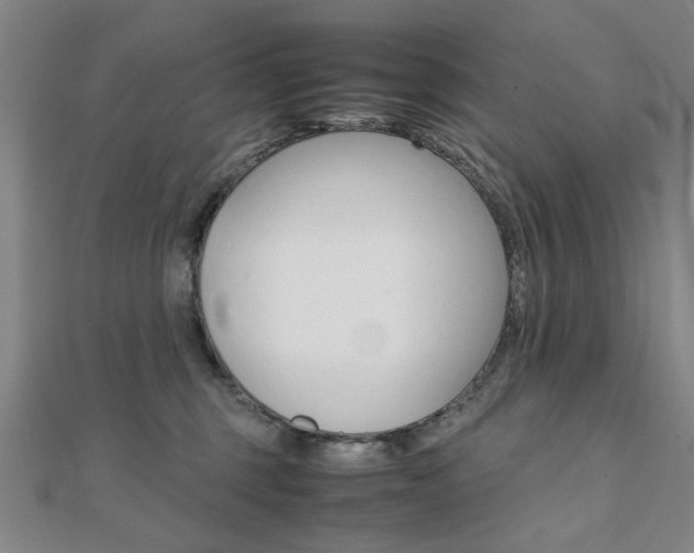 X0000112050375200908040955