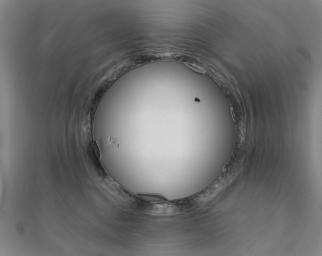 X0000112050376200908040955