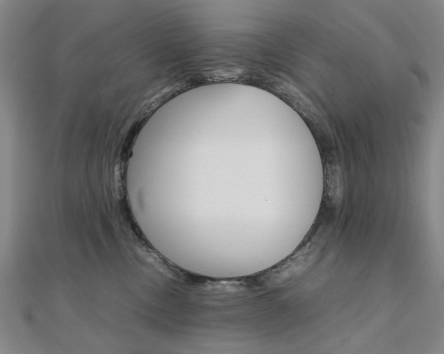 X0000112050378200908040955