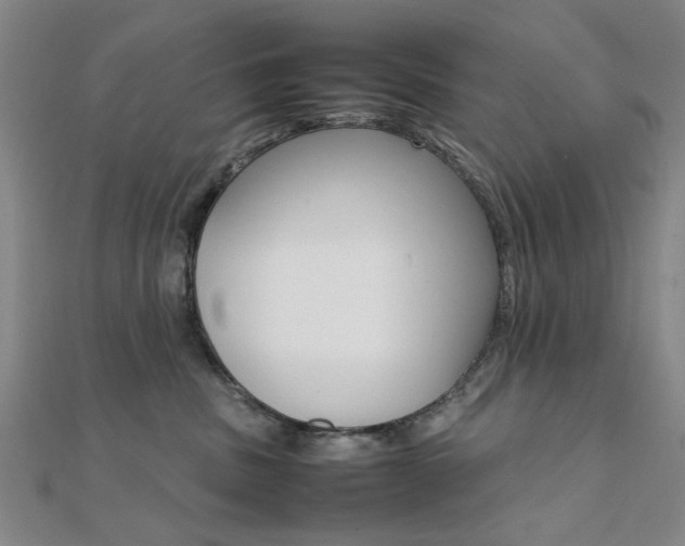 X0000112050379200908040955