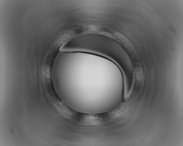 X0000112050380200908040955