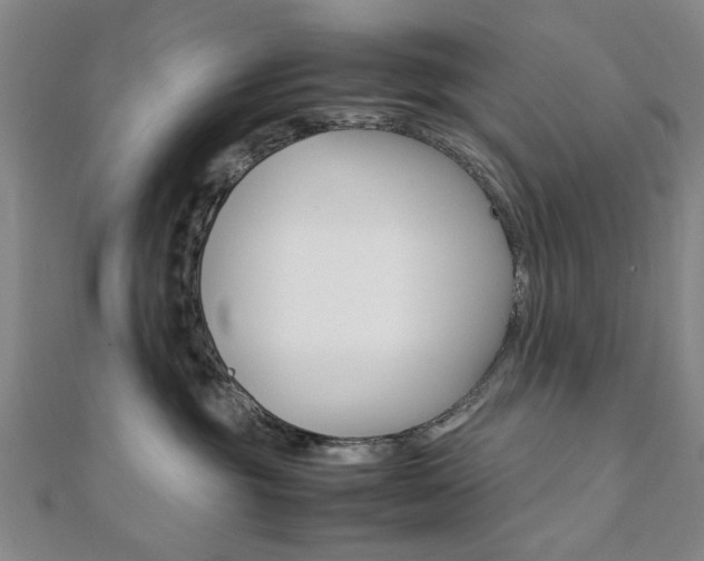 X0000112050381200908040955