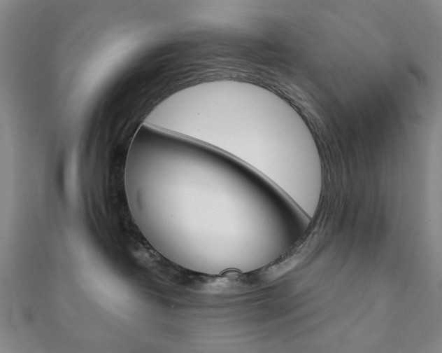 X0000112050382200908040955