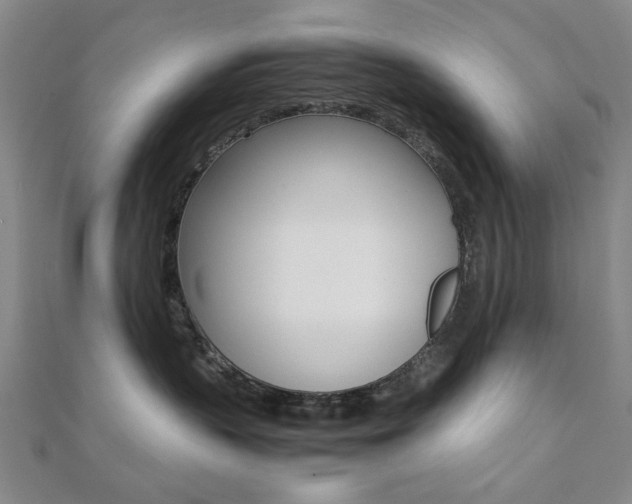 X0000112050383200908040955