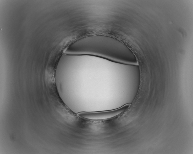X0000112050384200908040955
