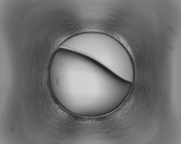 X0000112050385200908040954