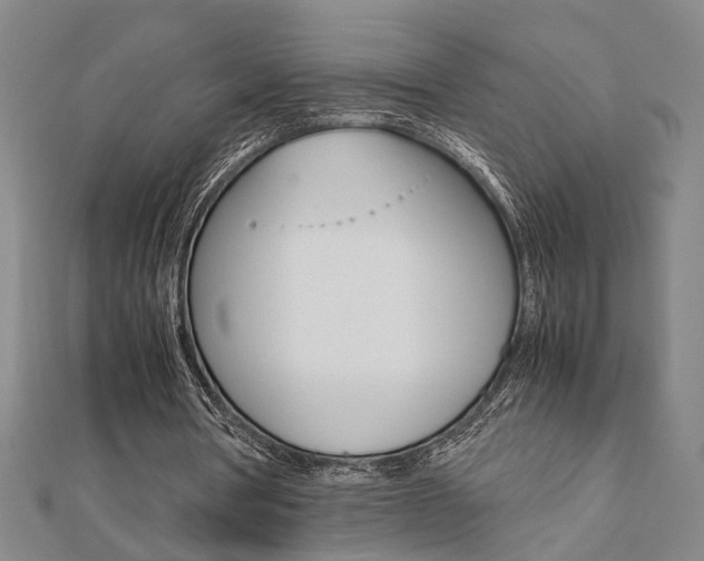 X0000112050386200908040954