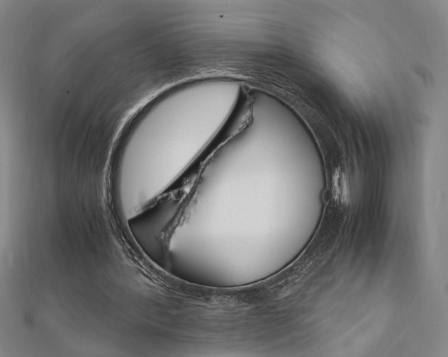 X0000112050388200908040954