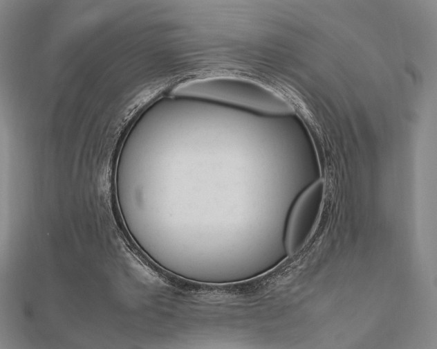 X0000112050389200908040954