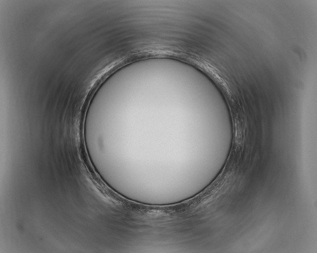 X0000112050390200908040954