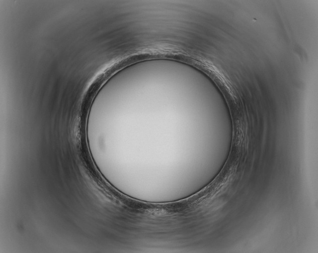 X0000112050392200908040954