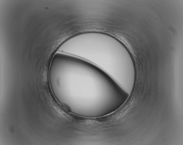 X0000112050393200908040954