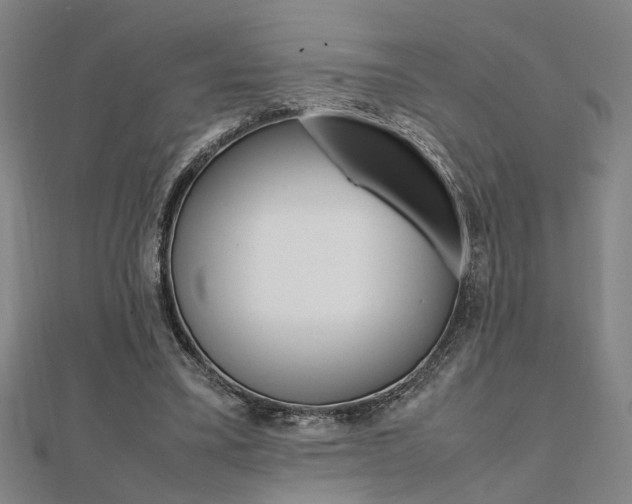 X0000112050395200908040954