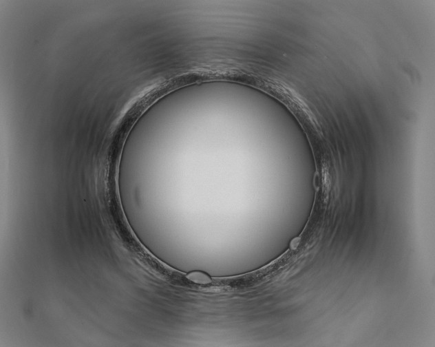 X0000112050396200908040954