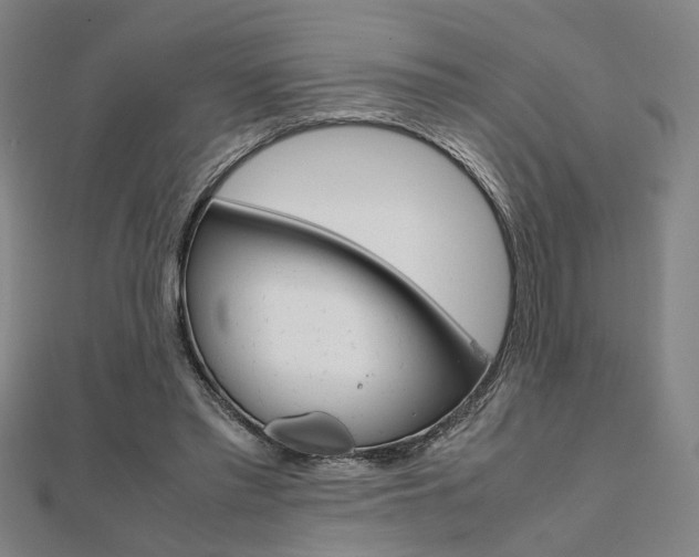 X0000112050397200908040954