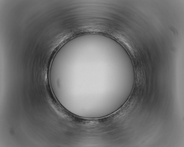 X0000112050398200908040954