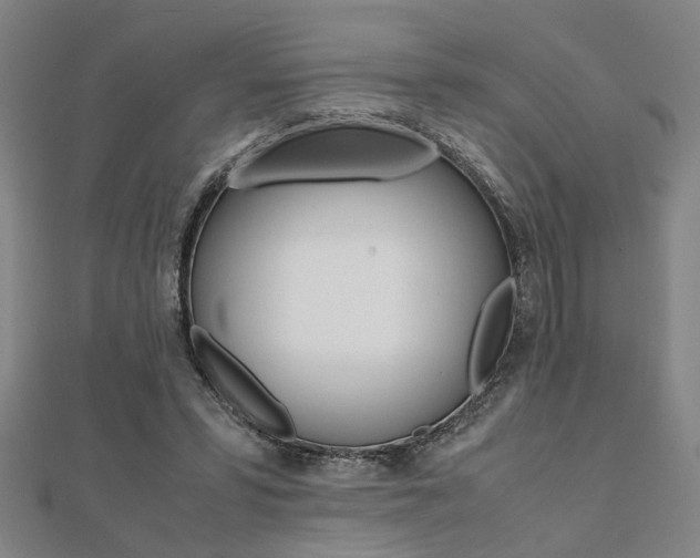 X0000112050399200908040954
