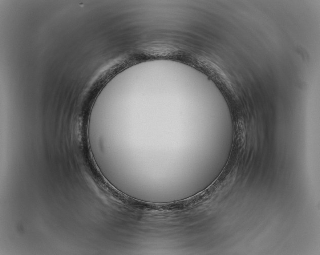 X0000112050400200908040954