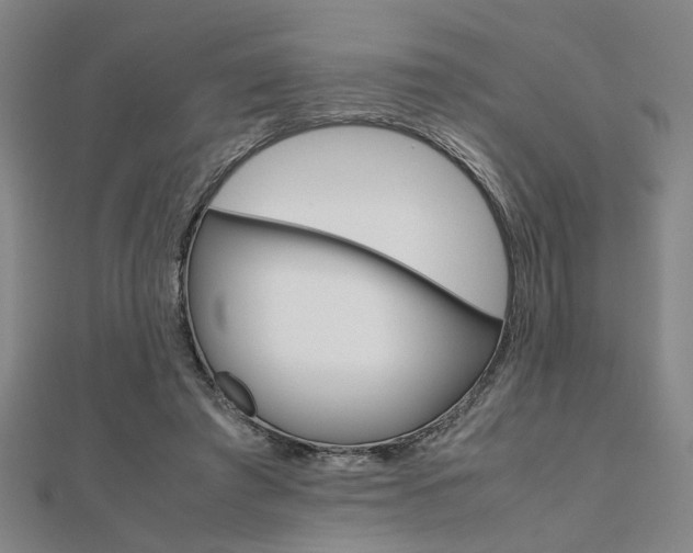 X0000112050401200908040954