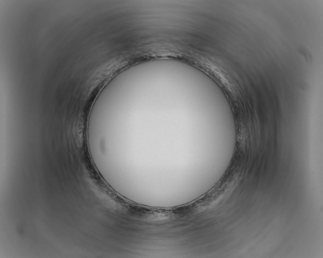 X0000112050402200908040954