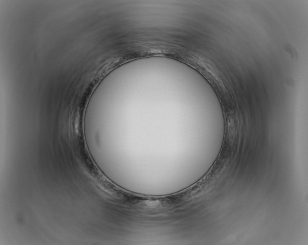 X0000112050406200908040954