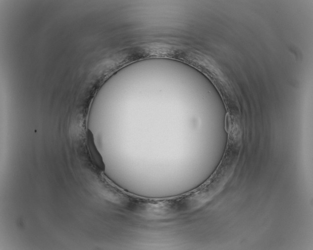 X0000112050411200908040954