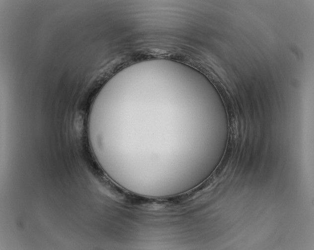 X0000112050412200908040954
