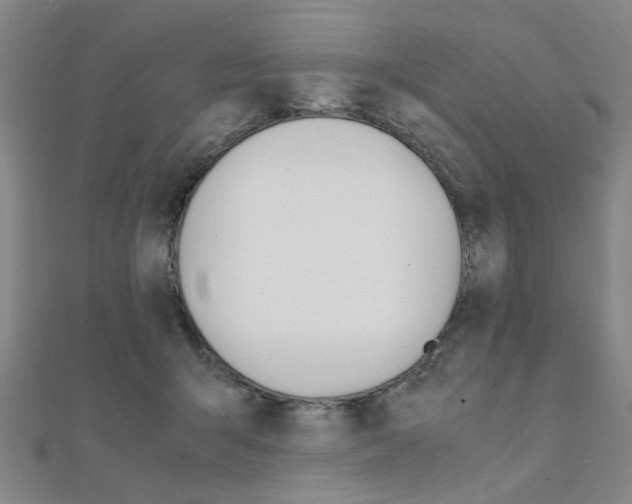 X0000112050415200908040954