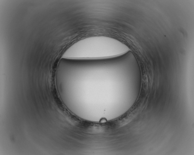 X0000112050416200908040954