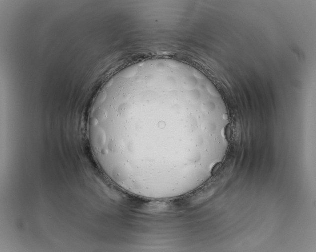 X0000112050418200908040954