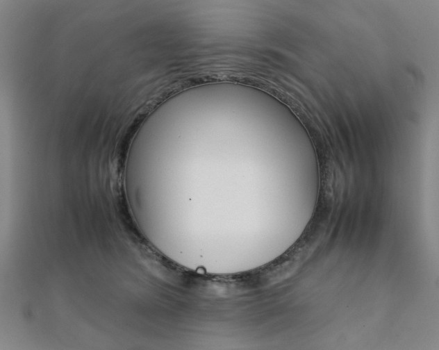 X0000112050420200908040954