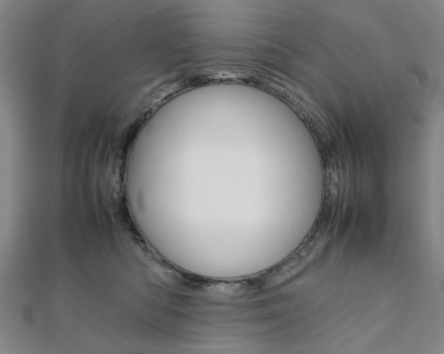 X0000112050422200908040954