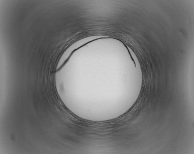 X0000112050425200908040954