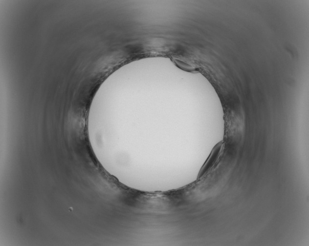 X0000112050427200908040954