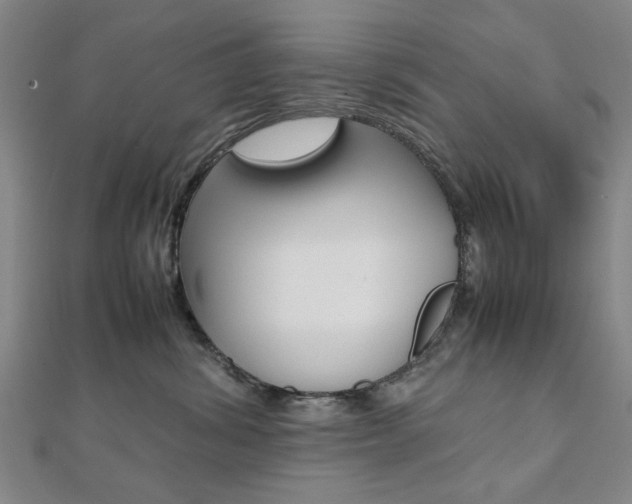 X0000112050428200908040954