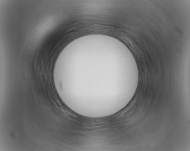 X0000112050429200908040954