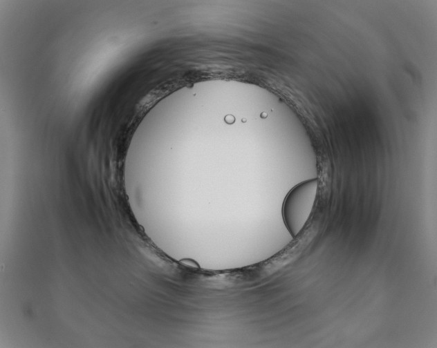 X0000112050430200908040954