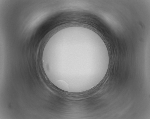X0000112050431200908040954
