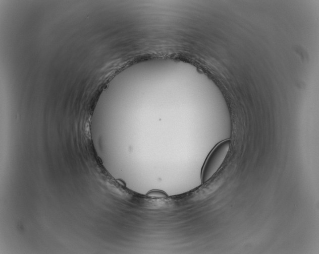 X0000112050432200908040954