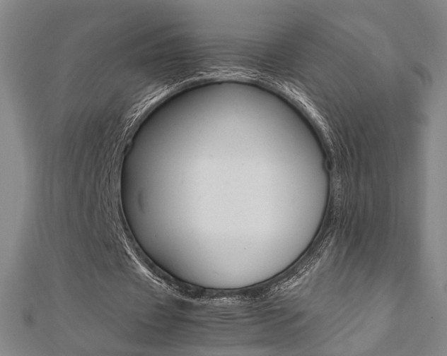 X0000112050433200908040953