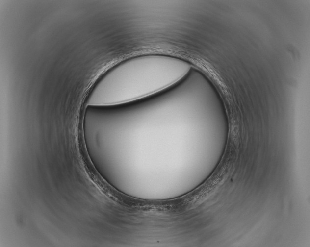 X0000112050434200908040953