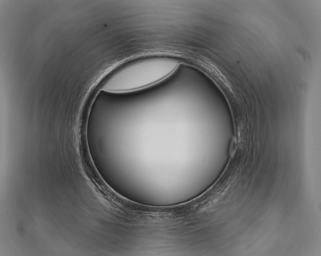 X0000112050436200908040953