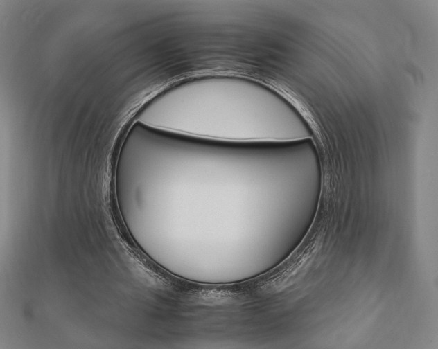 X0000112050437200908040953